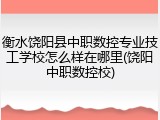 衡水饶阳县中职数控专业技工学校怎么样在哪里(饶阳中职数控校)