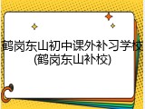 鹤岗东山初中课外补习学校(鹤岗东山补校)