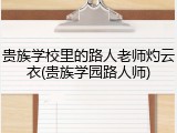 贵族学校里的路人老师灼云衣(贵族学园路人师)
