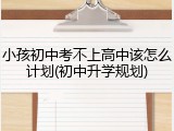 小孩初中考不上高中该怎么计划(初中升学规划)