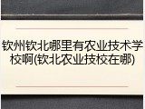 钦州钦北哪里有农业技术学校啊(钦北农业技校在哪)