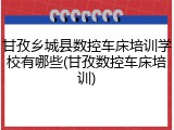 甘孜乡城县数控车床培训学校有哪些(甘孜数控车床培训)