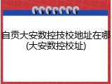 自贡大安数控技校地址在哪(大安数控校址)