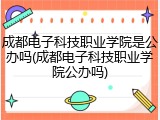成都电子科技职业学院是公办吗(成都电子科技职业学院公办吗)
