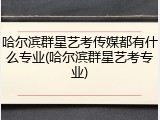哈尔滨群星艺考传媒都有什么专业(哈尔滨群星艺考专业)