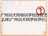 广州训犬师培训学校技校怎么样(广州训犬师学校评价)
