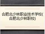 合肥北少林职业技术学校(合肥北少林职校)