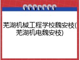 芜湖机械工程学校魏安枝(芜湖机电魏安枝)