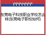 东莞电子科技职业学校怎么样(东莞电子职校如何)