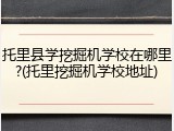 托里县学挖掘机学校在哪里?(托里挖掘机学校地址)