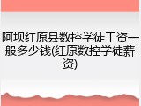 阿坝红原县数控学徒工资一般多少钱(红原数控学徒薪资)