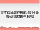枣庄薛城数控技能培训中职班(薛城数控中职班)