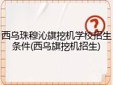 西乌珠穆沁旗挖机学校招生条件(西乌旗挖机招生)