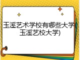 玉溪艺术学校有哪些大学(玉溪艺校大学)