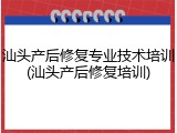 汕头产后修复专业技术培训(汕头产后修复培训)