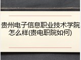 贵州电子信息职业技术学院怎么样(贵电职院如何)
