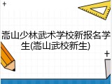 嵩山少林武术学校新报名学生(嵩山武校新生)