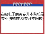 安徽电子商务专升本院校及专业(安徽电商专升本院校)