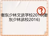 衡东少林文武学校2016(衡东少林武校2016)