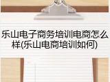乐山电子商务培训电商怎么样(乐山电商培训如何)