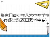 张家口青少年艺术中专学校有哪些(张家口艺术中专)
