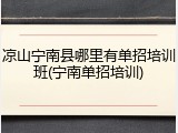 凉山宁南县哪里有单招培训班(宁南单招培训)