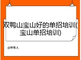 双鸭山宝山好的单招培训(宝山单招培训)