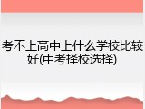 考不上高中上什么学校比较好(中考择校选择)