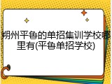 朔州平鲁的单招集训学校哪里有(平鲁单招学校)