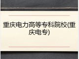 重庆电力高等专科院校(重庆电专)