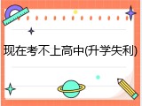 现在考不上高中(升学失利)