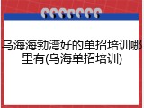 乌海海勃湾好的单招培训哪里有(乌海单招培训)