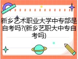 新乡艺术职业大学中专部是自考吗?(新乡艺职大中专自考吗)