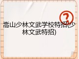 嵩山少林文武学校特招(少林文武特招)
