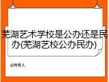芜湖艺术学校是公办还是民办(芜湖艺校公办民办)