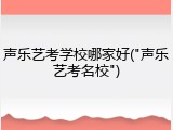 声乐艺考学校哪家好("声乐艺考名校")