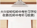 大兴安岭松岭中考补习学校收费(松岭中考补习收费)