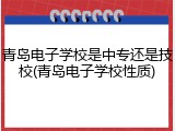 青岛电子学校是中专还是技校(青岛电子学校性质)