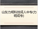 山东力明科技成人中专(力明成专)