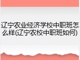辽宁农业经济学校中职班怎么样(辽宁农校中职班如何)