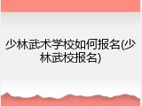 少林武术学校如何报名(少林武校报名)