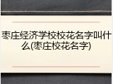 枣庄经济学校校花名字叫什么(枣庄校花名字)