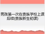 男孩第一次在贵族学校上课后续(贵族新生初课)