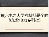 东北电力大学专科批是个啥?(东北电力专科批)