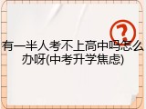 有一半人考不上高中吗怎么办呀(中考升学焦虑)