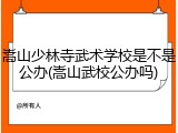嵩山少林寺武术学校是不是公办(嵩山武校公办吗)