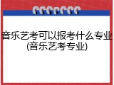 音乐艺考可以报考什么专业(音乐艺考专业)