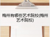 梅州有哪些艺术院校(梅州艺术院校)