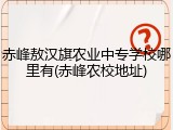 赤峰敖汉旗农业中专学校哪里有(赤峰农校地址)