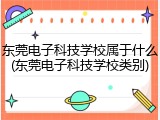东莞电子科技学校属于什么(东莞电子科技学校类别)
